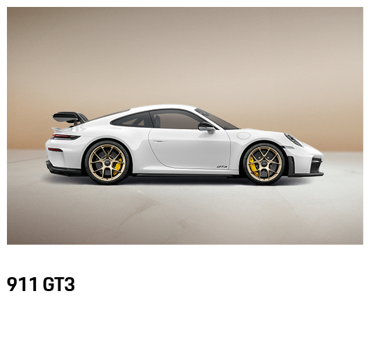 Porsche 911 GT3